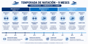 Calendario anual de planificación de temporada de natación con fases marcadas en colores