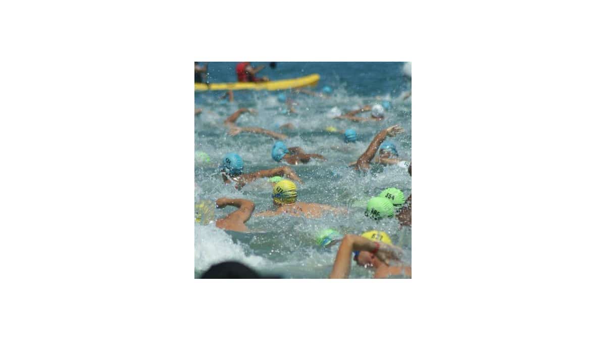 Escuela de Natación Parque Miranda
