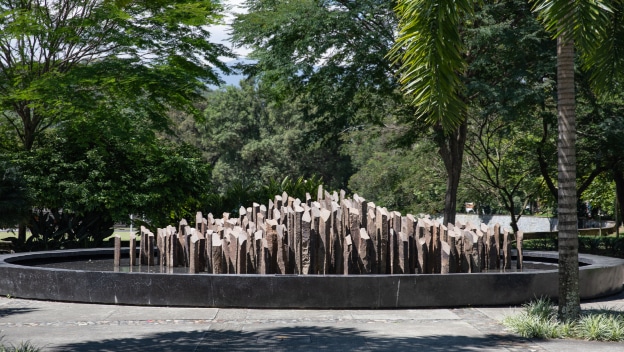 Piscina Universidad de Antioquia (Complejo Acuático UdeA)